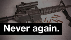 Enable images and help us pass gun legislation in Congress