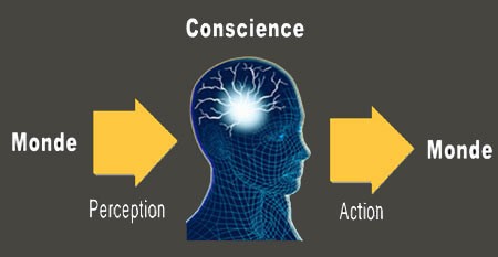 Classmill - Psychologie - Thème I - La Conscience