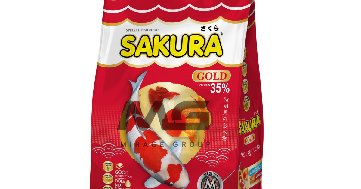 Sakura Gold Triple Hoops