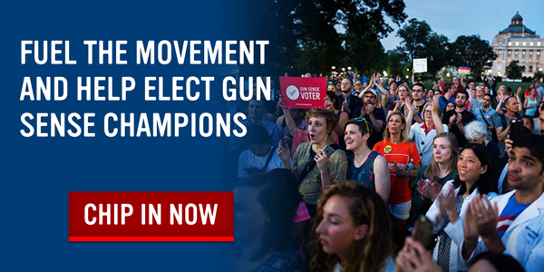 Help elect gun sense champions this election