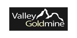 Valley Goldmine San Francisco Logo