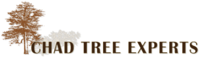 Chad Tree Experts Logo