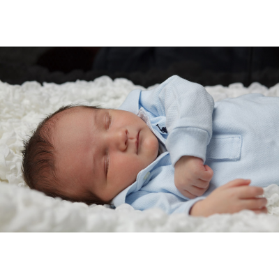 Photography by Howard’s End Logo