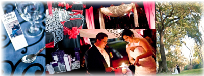 No Limits Disc Jockey Service Logo