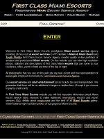 First Class Miami Escorts Logo