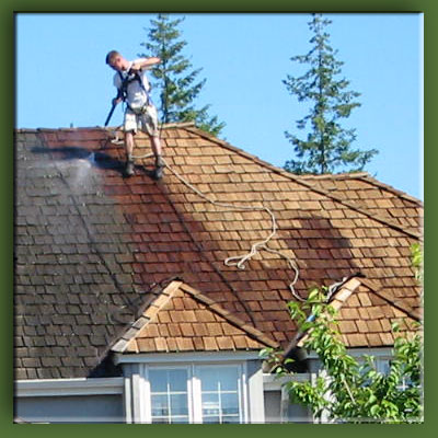 Apex Pressure Washing Logo