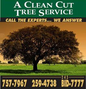 A Clean Cut Tree Service and Stu Logo