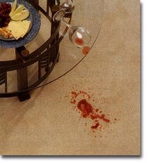 PureClean Carpet & Floor Care Image