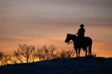 Stutheit &amp; Gartland P.C. Attorneys Logo