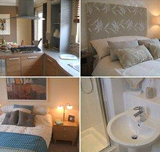 Gemini Cleaning Team Image