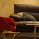 Alameda Carpet Cleaning Logo