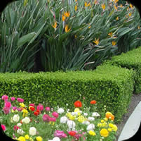 E T Landscaping Property Inc. Logo