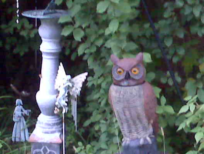 Chicago Pagan Weddings Image