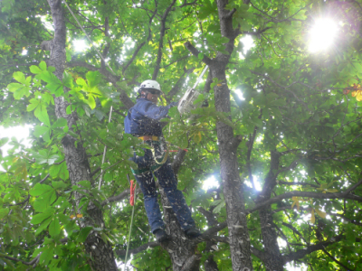 Cut Rite Services Elkhart Logo