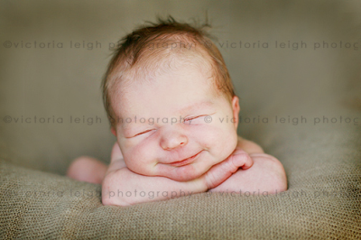 Victoria Leigh Photography Logo