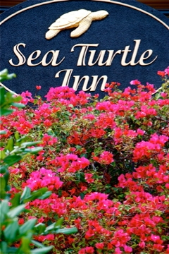 Sea Turtle Inn Logo