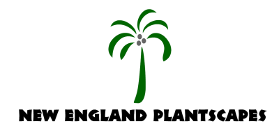 New England Interior &amp; Tropical Plantscapes Logo
