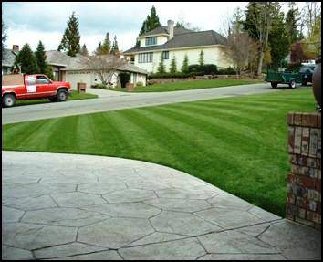 Down to Earth Landscaping, Inc. Logo