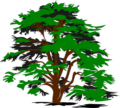 Big Tree Specialists Logo
