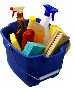 Maid to Serve, LLC Logo