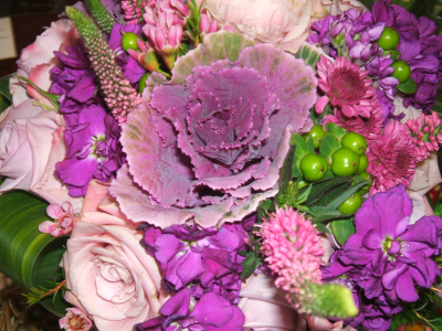 Under the Magenta Moon Logo