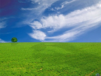 4 Affordable Lawn Service Logo