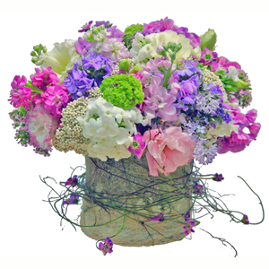 Petals of Boca Florist Logo