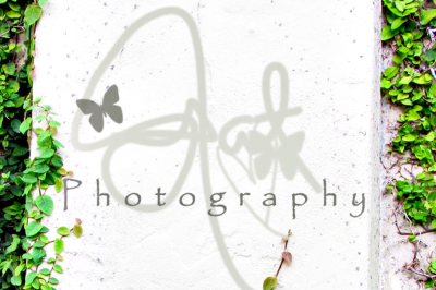 Natacha's Photography Logo