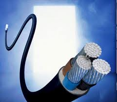 DUB Electric Repairs Logo