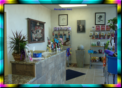 Dogs With Style Image