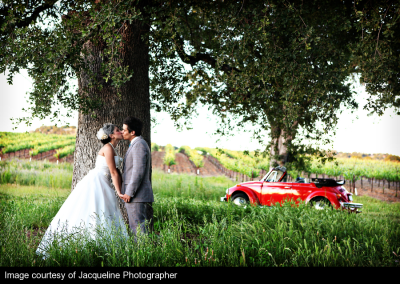 2Chic Events &amp;  Design Logo