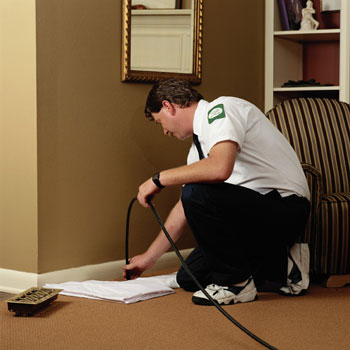 Pro Carpet Cleaners Tustin Logo