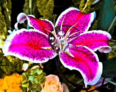 Glam Petal Floral Design Logo