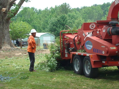 Second to None Tree Service Logo