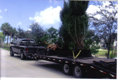 Godwin's Lawn &amp; Landscape Svc Logo