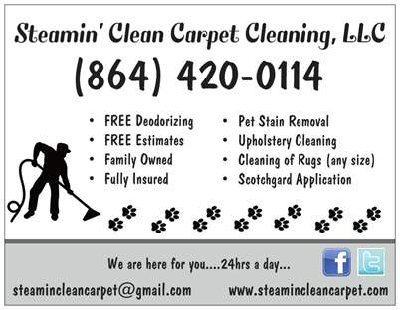 Steamin' Clean Carpet Cleaning, LLC Logo