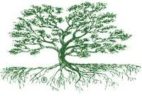 Tree Preservation Inc. - Bel Air Tree Service &amp; Landscape Installations Logo