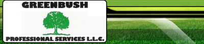 Greenbush Professional Services LLC Logo