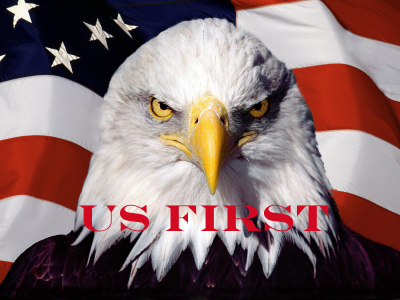 National Security Services Inc. Logo