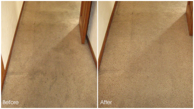 Escondido Carpet Cleaning Logo