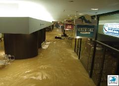 Smart Cleaning Restoration Logo