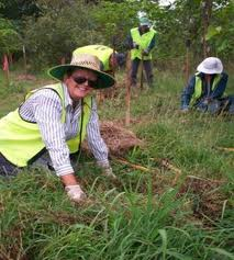 Premiere Tree Services of Newburgh Logo