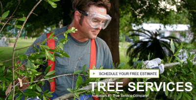Premiere Tree Services of Augusta Logo