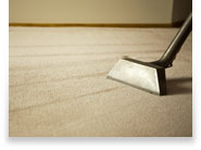 Bronx Carpet Cleaner Image