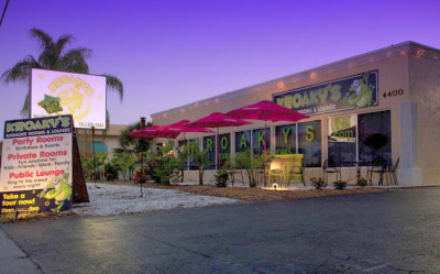 Kroaky's Karaoke Logo