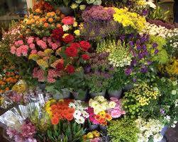 Big City Flowers / Florist &amp; Flowers Delivery Logo