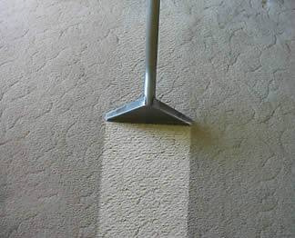 Expert Cleaning Carpet Inc in Torrance Logo