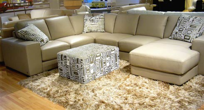 Aurora Carpet Cleaning Pros Logo