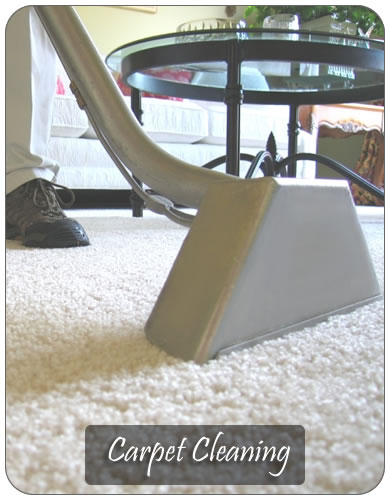 The Best Torrance Carpet Cleaning Inc. Logo