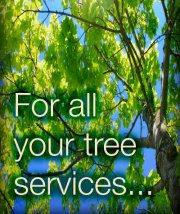 Complete Tree Service Logo